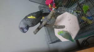 全く動きませんでした(笑)
