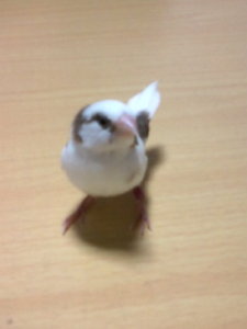 正面です。