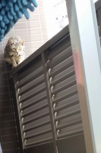 めっちゃ狙ってます(汗)