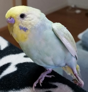 足にー！(笑)
