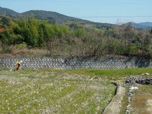 田んぼ向こうの草山