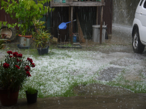 あっという間に雹で真っ白