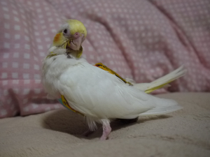 おしめデビュー&#9825;