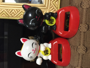 黒も仲間入りw
