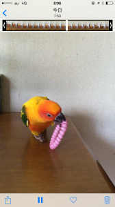 遊んでたけど…