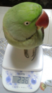 ダイレクトに乗って測定