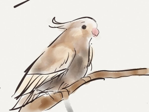iPadのアプリで