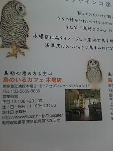 フクロウもいる！？