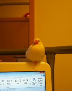 おねんね〜〜