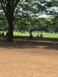 代々木公園でー