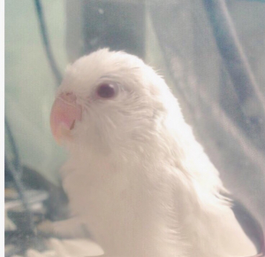 夏くんの分まで、頑張ります(*^^*)