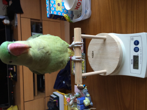 痩せてしまいました…
