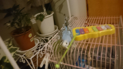 結局落とす。重いかな？