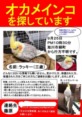 この画像を、他のSNSでも載せていただけると幸いです。