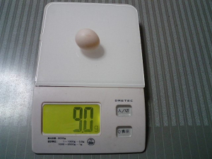 ビリ美の卵。