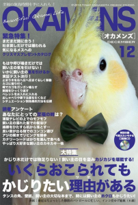 ♂向け雑誌。