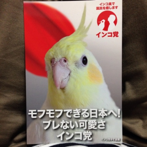 インコ党。3