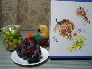 ジルバさん、美味しい葡萄ありがとう！！ｗ