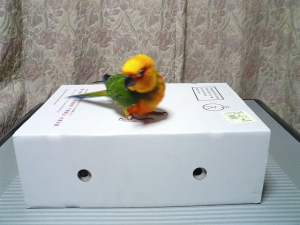 良い匂いがするわね♪