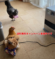 ええとこ知ってます