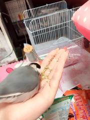 ハゲ時代...