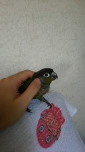 カキカキ練習中です