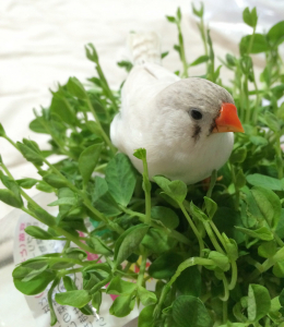 元気になりました！
