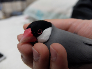 でも、結局こうなります