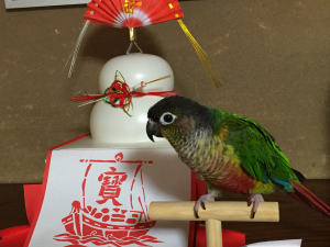 大きくてちょっとコワイ&#128166;