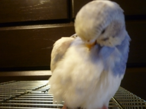 ていねいに、ていねいに・・・^m^