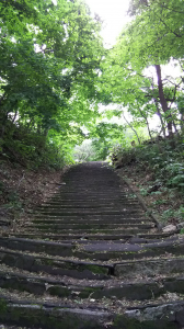 鳥居に続く石階段です。