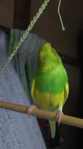分かれているのが気に入っています