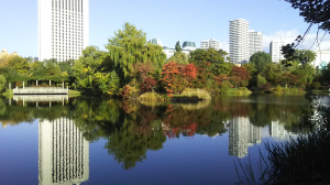10月中頃の公園です。