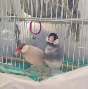 大丈夫ですか〜？