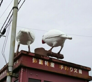 お尻に小さい点があります。