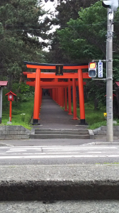 階段をのぼり小道を歩くと鳥居です。
