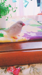 1年前の写真です