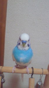 ボク、空だよ〜ん^^