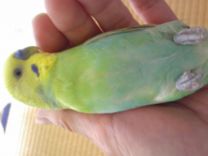 いや〜ん