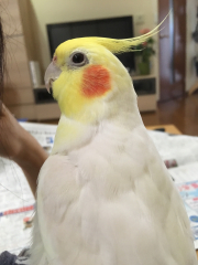 よく歌います。