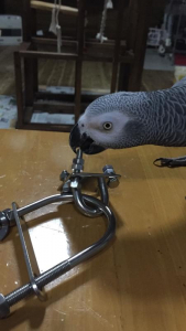 手がかかるのは誰？