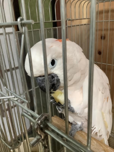 変な家に来ちゃったよ