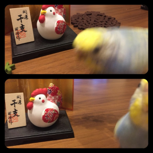 ブレる、見切れる