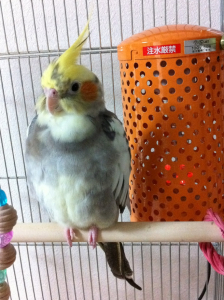 初めての冬もヒーターがあればへっちゃら！
