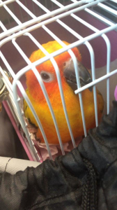 ここどこ？