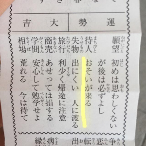 やめてー！