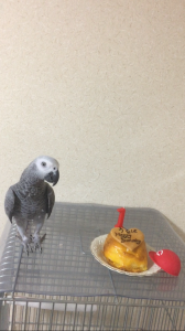 そろそろ食べたい