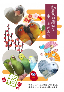 鳥達からご挨拶^ ^