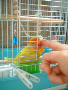 ほっぺをなでなでされるのが好き☆