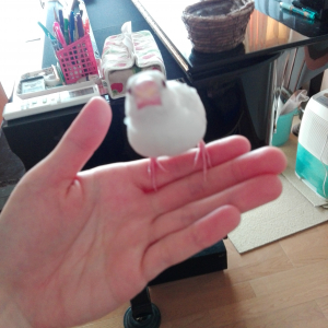 なかなか静止してくれません